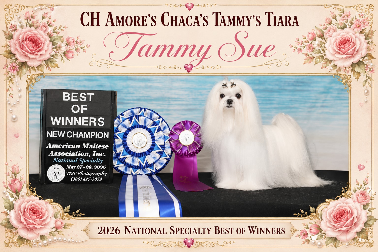 Tammy Sue profile photo